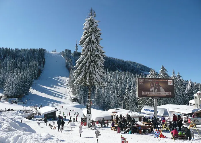 Aparthotel Pine Hills Pamporovo