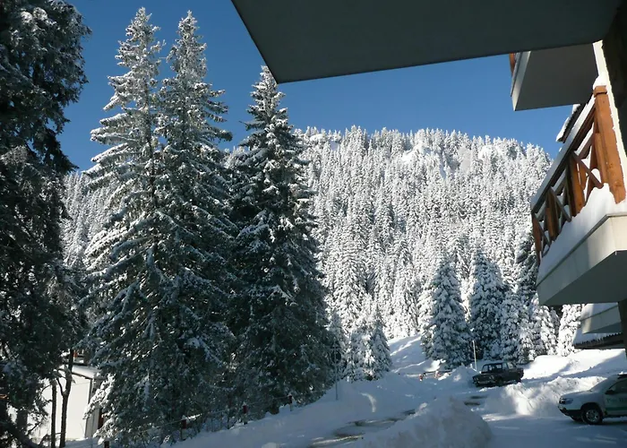 Aparthotel Pine Hills Pamporovo