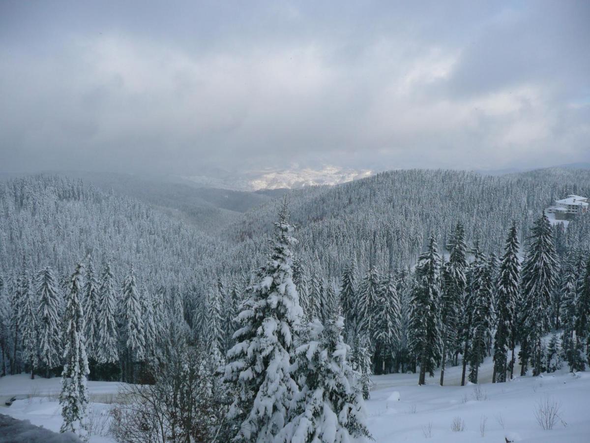 Pine Hills 3* Pamporovo
