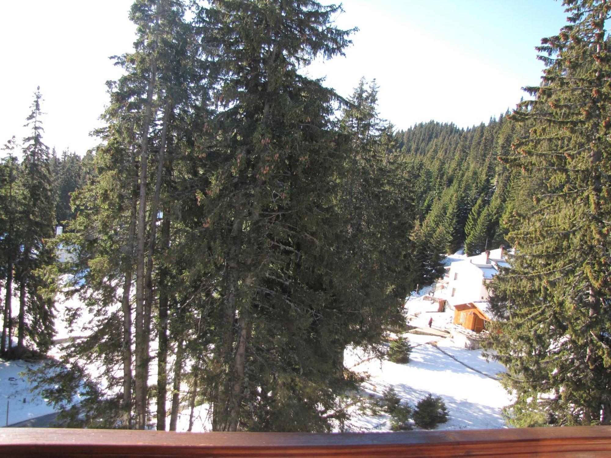 Apart Otel Pine Hills Pamporovo