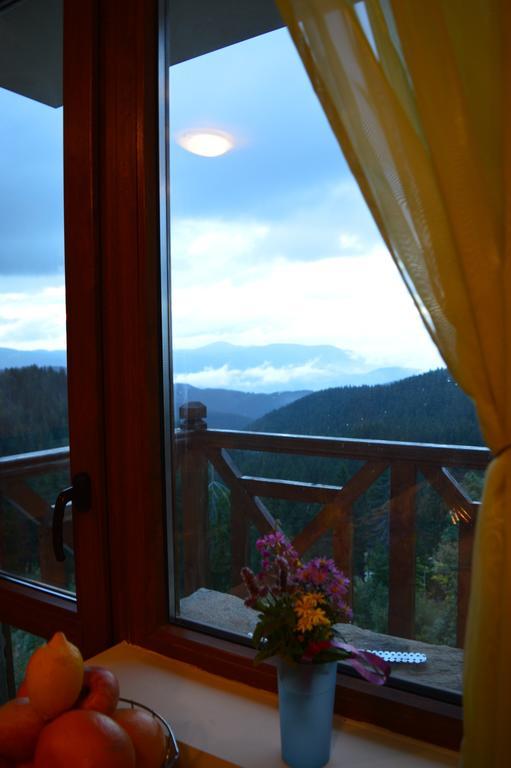 Apart Otel Pine Hills Pamporovo
