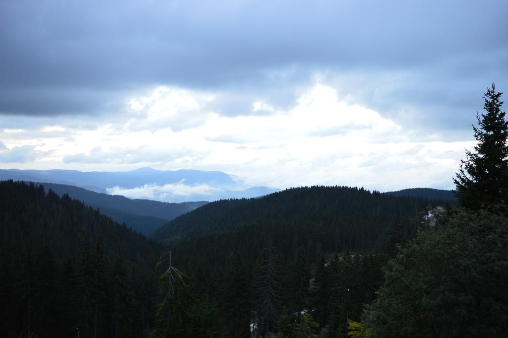 Pine Hills 3* Pamporovo